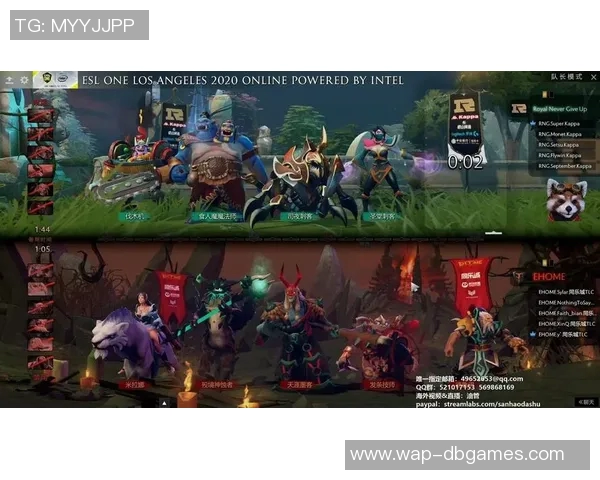 RNG战队的荣耀与挑战DOTA2赛场上的奋斗历程与成长故事